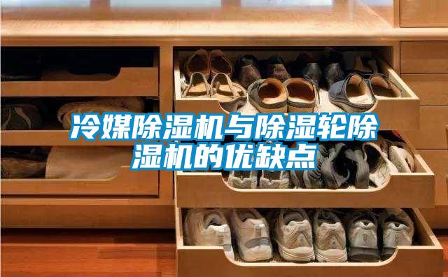 冷媒除濕機與除濕輪除濕機的優(yōu)缺點(diǎn)