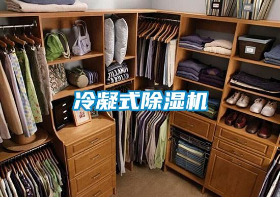 冷凝式除濕機(jī)