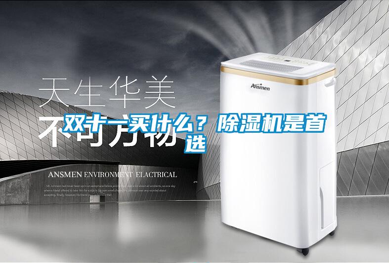 雙十一買(mǎi)什么？除濕機是首選