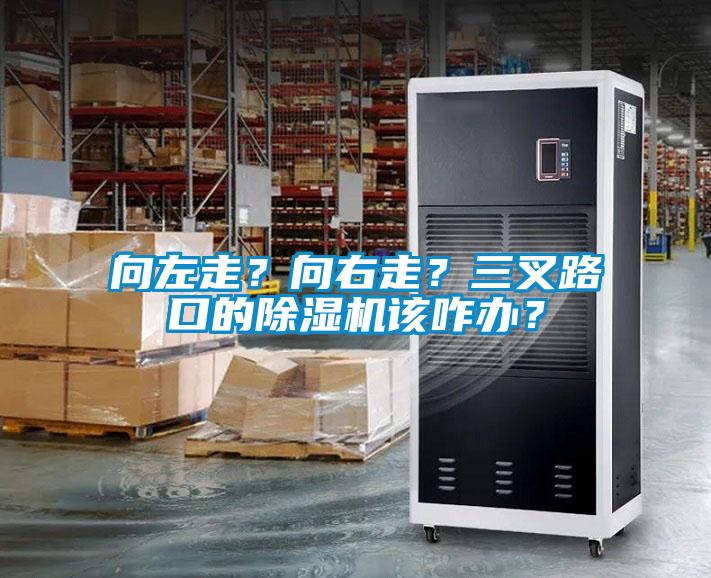 向左走？向右走？三叉路口的除濕機該咋辦？