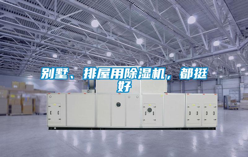別墅、排屋用除濕機，都挺好