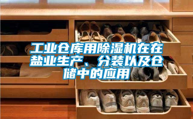 工業(yè)倉庫用除濕機在在鹽業(yè)生產(chǎn)、分裝以及倉儲中的應用