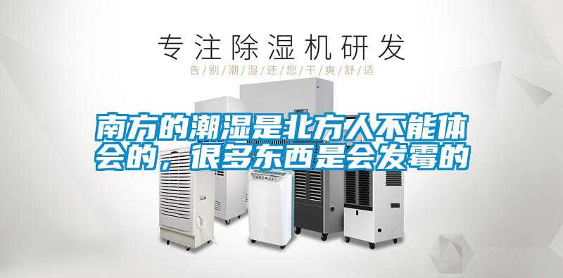 南方的潮濕是北方人不能體會的，很多東西是會發(fā)霉的