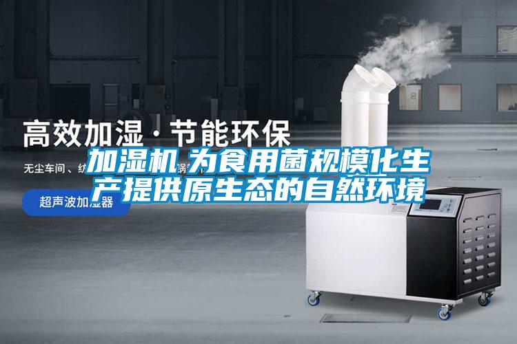 加濕機　為食用菌規?；a(chǎn)提供原生態(tài)的自然環(huán)境