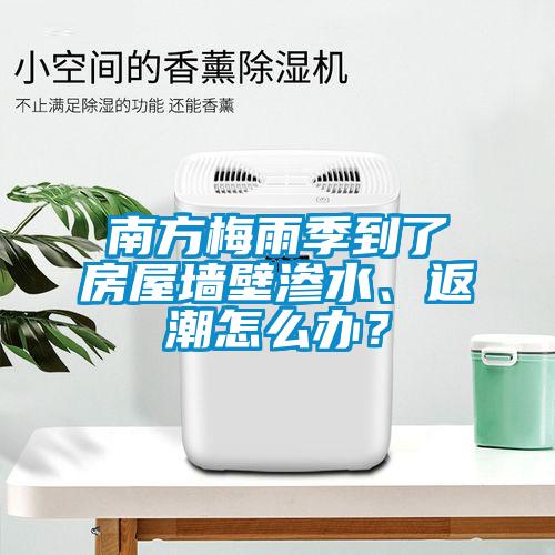 南方梅雨季到了房屋墻壁滲水、返潮怎么辦？