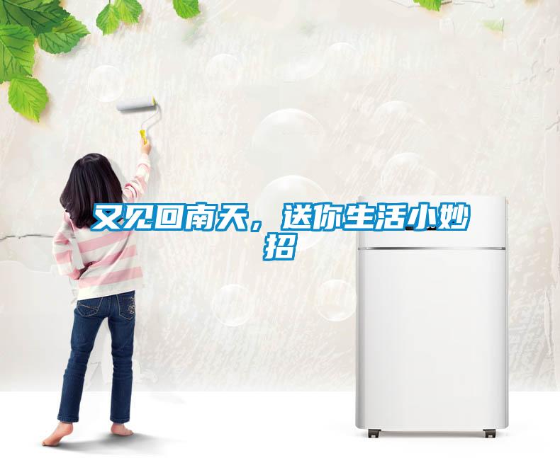 又見(jiàn)回南天，送你生活小妙招