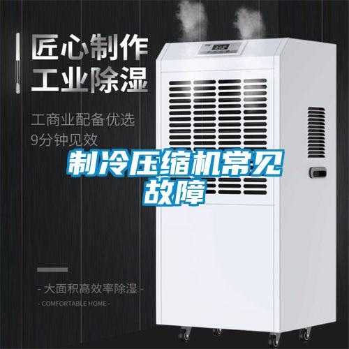 制冷壓縮機常見(jiàn)故障