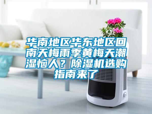 華南地區(qū)華東地區(qū)回南天梅雨季黃梅天潮濕惱人？除濕機選購指南來了