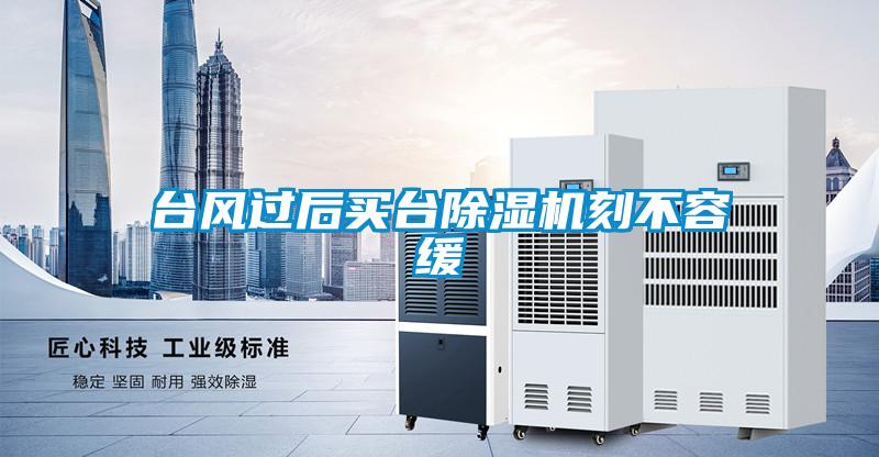 臺風(fēng)過(guò)后買(mǎi)臺除濕機刻不容緩