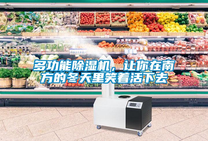 多功能除濕機，讓你在南方的冬天里笑著(zhù)活下去