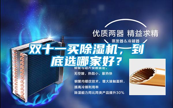 雙十一買(mǎi)除濕機，到底選哪家好？