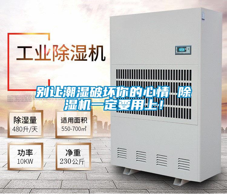 別讓潮濕破壞你的心情 除濕機(jī)一定要用上！