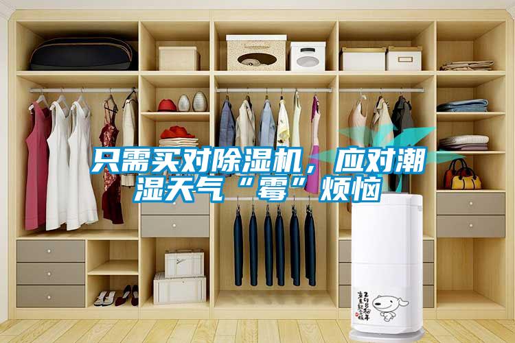 只需買(mǎi)對除濕機，應對潮濕天氣“霉”煩惱