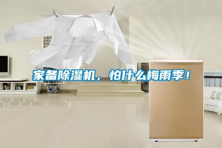家備除濕機(jī)，怕什么梅雨季！