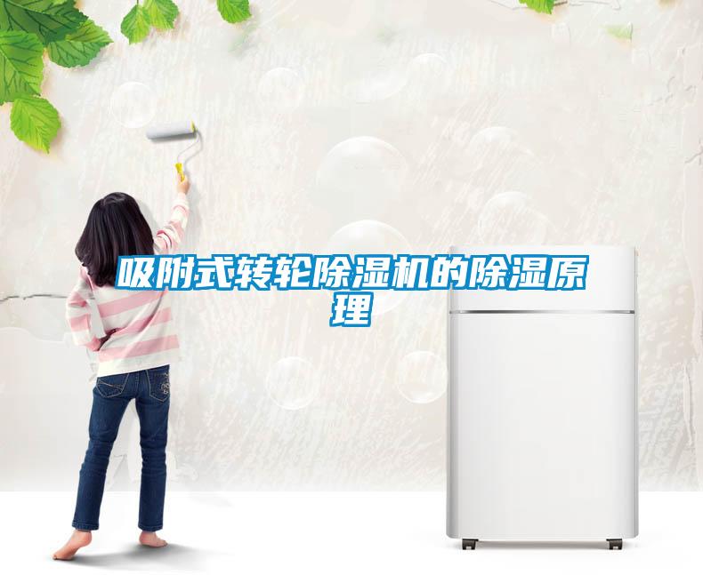 吸附式轉輪除濕機的除濕原理