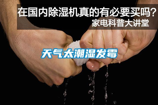天氣太潮濕發(fā)霉