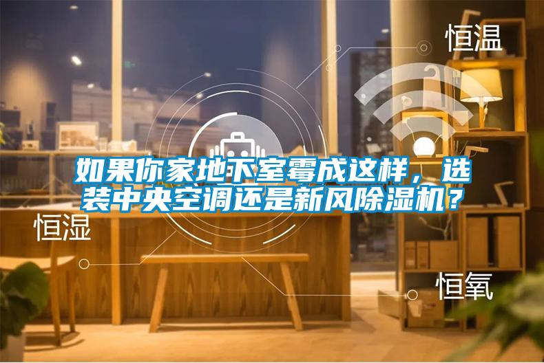 如果你家地下室霉成這樣，選裝中央空調還是新風(fēng)除濕機？
