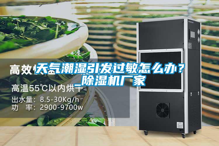 天氣潮濕引發(fā)過(guò)敏怎么辦？_除濕機(jī)廠(chǎng)家