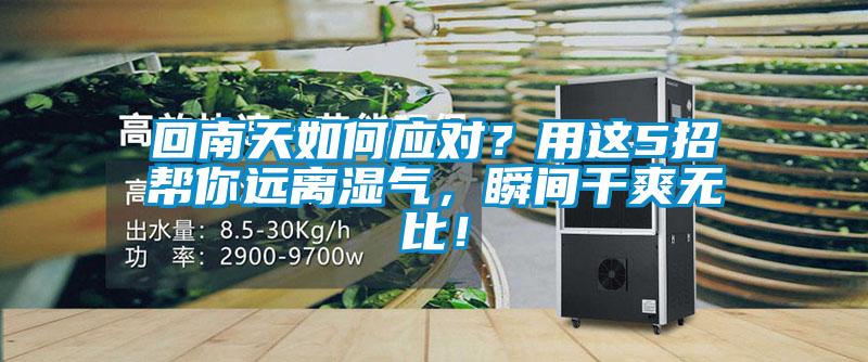 回南天如何應(yīng)對(duì)？用這5招幫你遠(yuǎn)離濕氣，瞬間干爽無(wú)比！