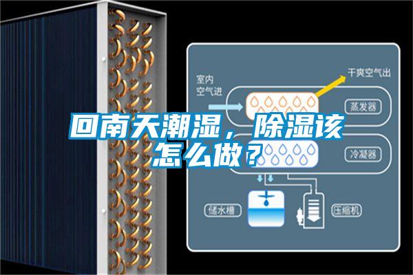 回南天潮濕，除濕該怎么做？