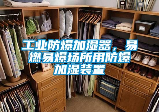工業(yè)防爆加濕器，易燃易爆場(chǎng)所用防爆加濕裝置