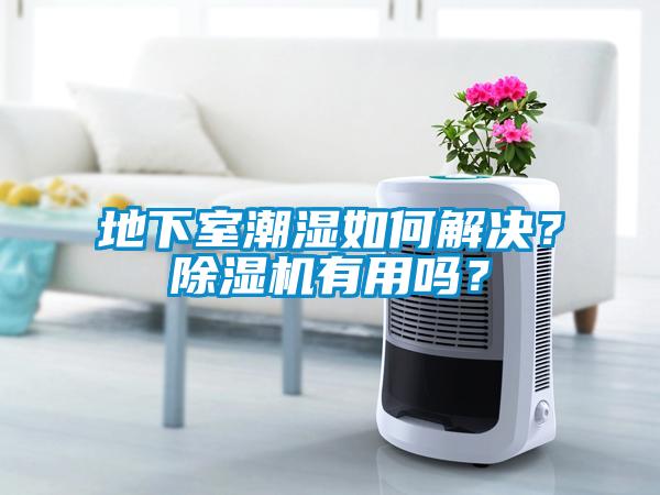 地下室潮濕如何解決？除濕機有用嗎？