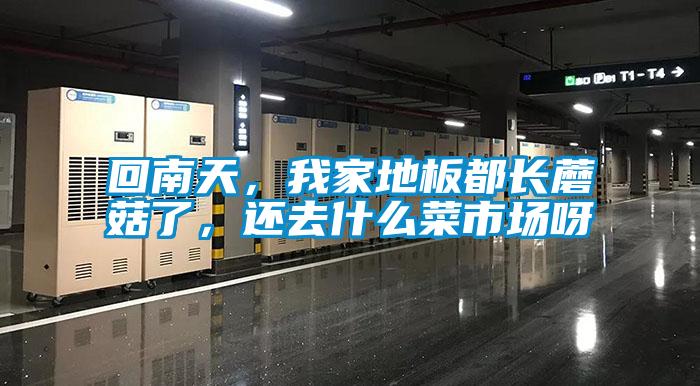 回南天，我家地板都長(cháng)蘑菇了，還去什么菜市場(chǎng)呀