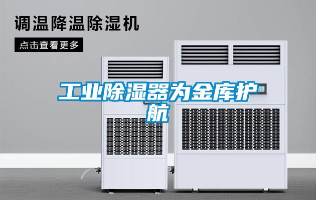 工業(yè)除濕器為金庫護航