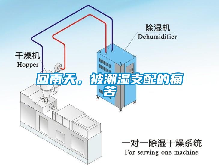 回南天，被潮濕支配的痛苦