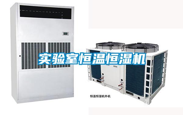 實(shí)驗室恒溫恒濕機