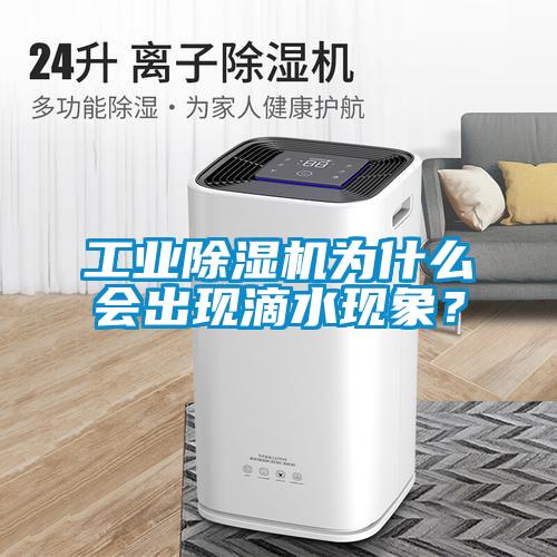 工業(yè)除濕機為什么會(huì )出現滴水現象？