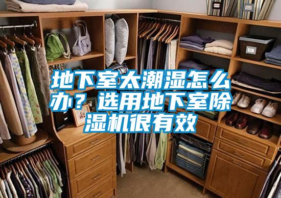 地下室太潮濕怎么辦？選用地下室除濕機(jī)很有效