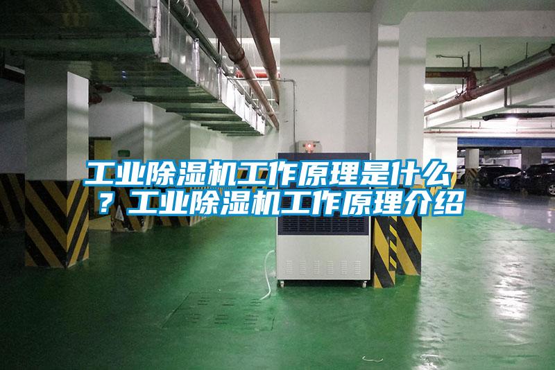 工業(yè)除濕機工作原理是什么 ？工業(yè)除濕機工作原理介紹