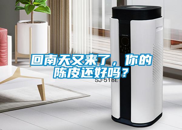 回南天又來(lái)了，你的陳皮還好嗎？