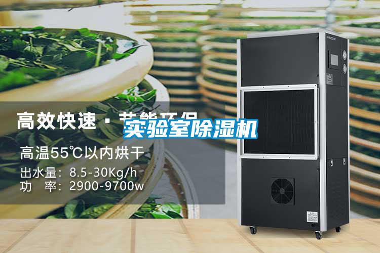 實(shí)驗室除濕機