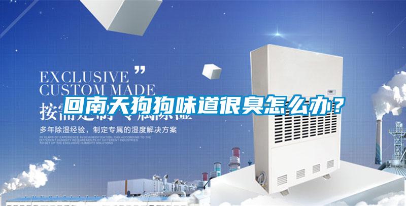 回南天狗狗味道很臭怎么辦？