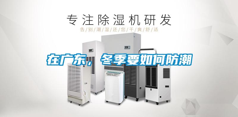 在廣東，冬季要如何防潮