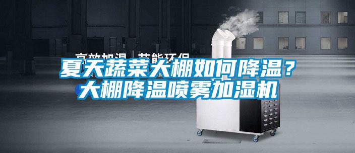 夏天蔬菜大棚如何降溫？大棚降溫噴霧加濕機(jī)