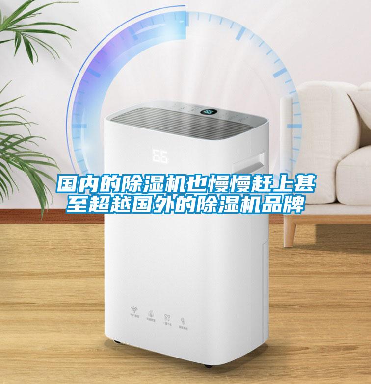 國內的除濕機也慢慢趕上甚至超越國外的除濕機品牌