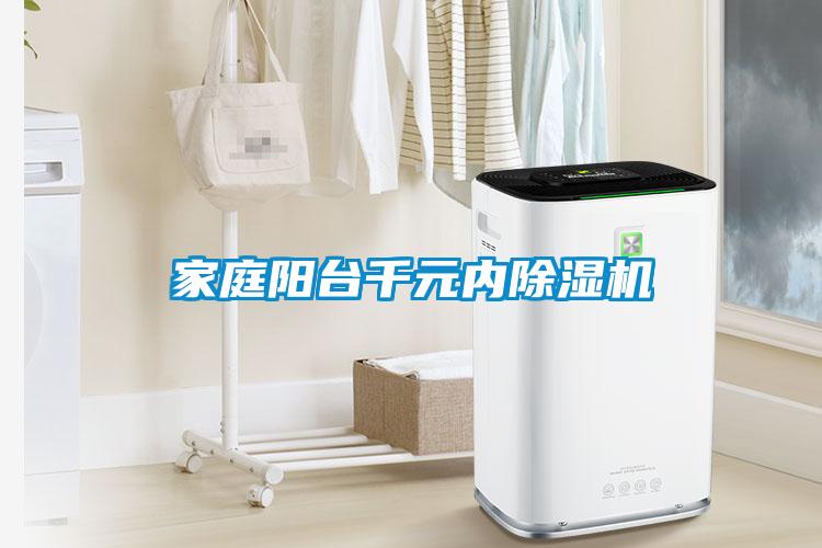 家庭陽(yáng)臺千元內除濕機