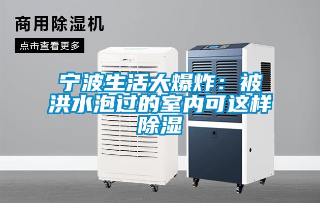 寧波生活大爆炸：被洪水泡過的室內(nèi)可這樣除濕