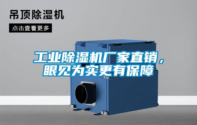 工業(yè)除濕機廠家直銷，眼見為實更有保障