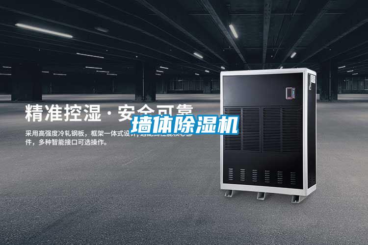 墻體除濕機(jī)