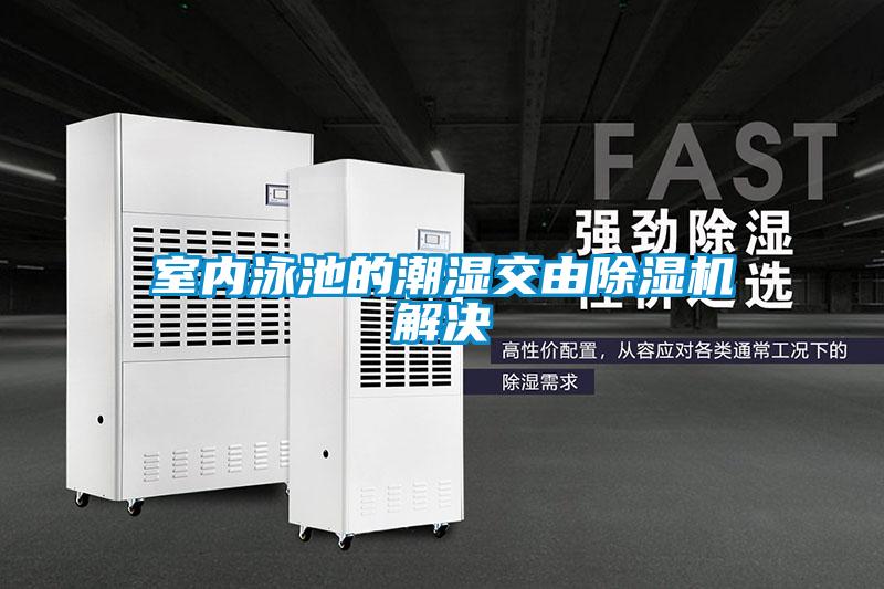 室內泳池的潮濕交由除濕機解決