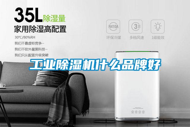 工業(yè)除濕機(jī)什么品牌好
