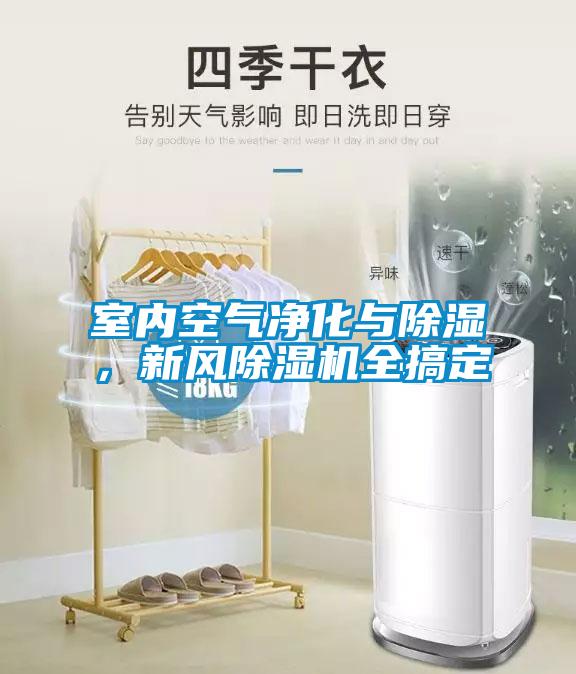 室內空氣凈化與除濕，新風(fēng)除濕機全搞定