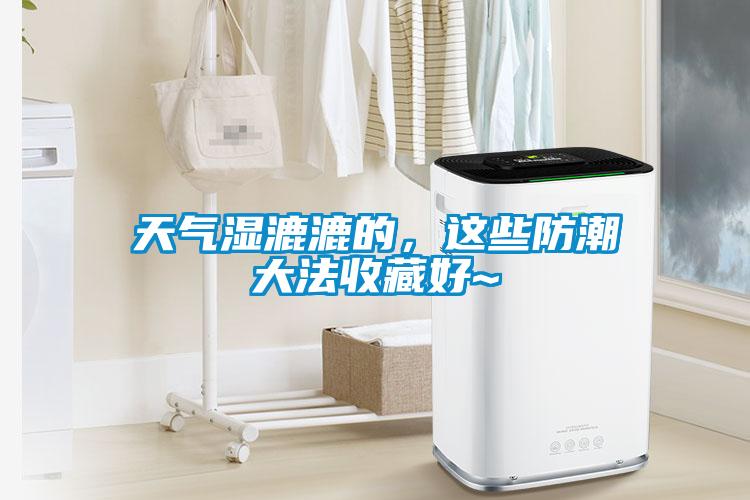 天氣濕漉漉的，這些防潮大法收藏好~