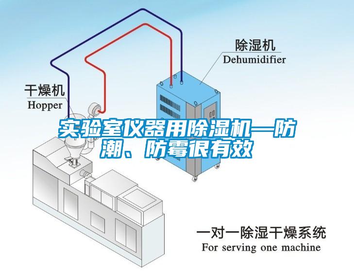 實(shí)驗室儀器用除濕機—防潮、防霉很有效