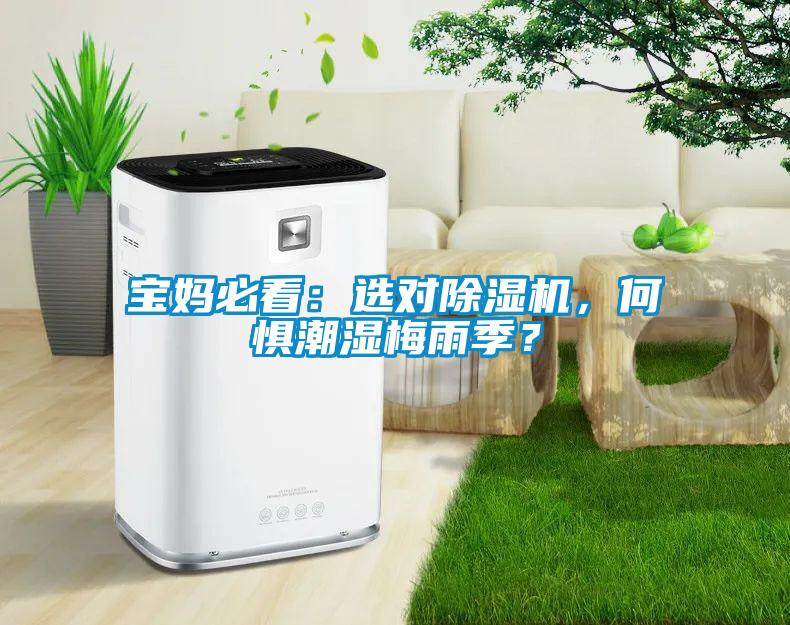 寶媽必看：選對(duì)除濕機(jī)，何懼潮濕梅雨季？