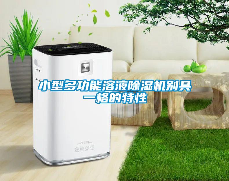 小型多功能溶液除濕機別具一格的特性